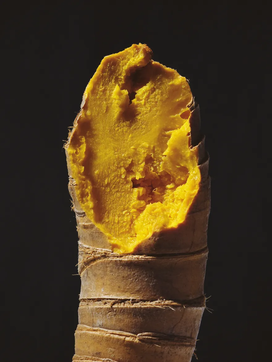 Berberine, studio photograph